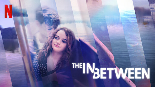 Mr inbetween netflix top